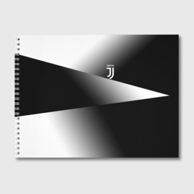 Альбом для рисования с принтом Juventus 2018 Original #9 в Белгороде, 100% бумага
 | матовая бумага, плотность 200 мг. | Тематика изображения на принте: fc | juventus | спорт | спортивные | футбол | футбольный клуб | ювентус