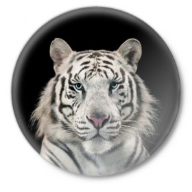 Значок с принтом White tiger в Белгороде,  металл | круглая форма, металлическая застежка в виде булавки | Тематика изображения на принте: tiger white | белый тигр | дикая кошка | тигр