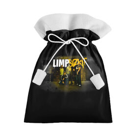 Подарочный 3D мешок с принтом Группа Limp Bizkit в Белгороде, 100% полиэстер | Размер: 29*39 см | Тематика изображения на принте: 