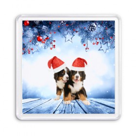 Магнит 55*55 с принтом Новогодние собачки в Белгороде, Пластик | Размер: 65*65 мм; Размер печати: 55*55 мм | Тематика изображения на принте: christmas | new year | santa | год собаки | елка | елочки | новогодний | новый год | рождество | снег | снежинки | собака