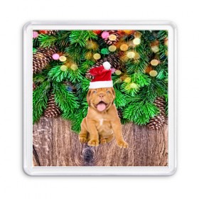 Магнит 55*55 с принтом DOG в Белгороде, Пластик | Размер: 65*65 мм; Размер печати: 55*55 мм | christmas | new year | santa | год собаки | дед мороз | елка | елочки | новогодний | новый год | рождество | сантаклаус | снег | снежинки | собака