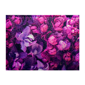 Обложка для студенческого билета с принтом цветы в Белгороде, натуральная кожа | Размер: 11*8 см; Печать на всей внешней стороне | Тематика изображения на принте: botany | bouquet | flowers | fuchsia | leaves | magnolia | peony | pink | vintage | ботаника | букет | винтаж | листья | магнолия | пион | розовый | фуксия | цветы