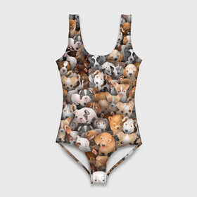 Купальник-боди 3D с принтом Щенки в Белгороде, 82% полиэстер, 18% эластан | Круглая горловина, круглый вырез на спине | бультерьер | корги | мопс | паттерн | пес | питбуль | породы | собака | собачка | хаски | щенок