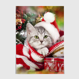 Постер с принтом Новогодний котик в Белгороде, 100% бумага
 | бумага, плотность 150 мг. Матовая, но за счет высокого коэффициента гладкости имеет небольшой блеск и дает на свету блики, но в отличии от глянцевой бумаги не покрыта лаком | елка | зима | кот | котейка | кошка | мороз | новый год | снег