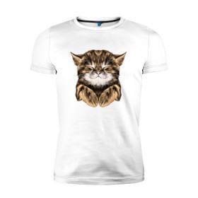 Мужская футболка премиум с принтом Котёнок в Белгороде, 92% хлопок, 8% лайкра | приталенный силуэт, круглый вырез ворота, длина до линии бедра, короткий рукав | cat | животные | киса | кот | котенок | котик | кошка | сон | спит