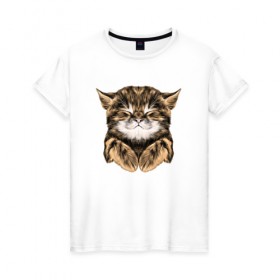 Женская футболка хлопок с принтом Котёнок в Белгороде, 100% хлопок | прямой крой, круглый вырез горловины, длина до линии бедер, слегка спущенное плечо | cat | животные | киса | кот | котенок | котик | кошка | сон | спит