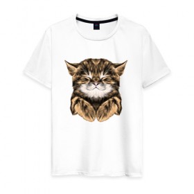 Мужская футболка хлопок с принтом Котёнок в Белгороде, 100% хлопок | прямой крой, круглый вырез горловины, длина до линии бедер, слегка спущенное плечо. | Тематика изображения на принте: cat | животные | киса | кот | котенок | котик | кошка | сон | спит