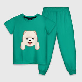 Детская пижама хлопок с принтом Немецкий шпиц щеночек в Белгороде, 100% хлопок |  брюки и футболка прямого кроя, без карманов, на брюках мягкая резинка на поясе и по низу штанин
 | 