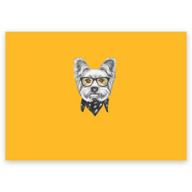 Поздравительная открытка с принтом Йоркширский терьер_в очках в Белгороде, 100% бумага | плотность бумаги 280 г/м2, матовая, на обратной стороне линовка и место для марки
 | домашние животные | пес | собака | терьер