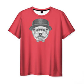 Мужская футболка 3D с принтом Йоркширский терьер в шляпе в Белгороде, 100% полиэфир | прямой крой, круглый вырез горловины, длина до линии бедер | домашние животные | пес | собака | терьер