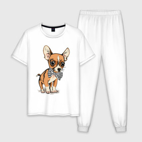 Мужская пижама хлопок с принтом Чихуахуа с бабочкой в Белгороде, 100% хлопок | брюки и футболка прямого кроя, без карманов, на брюках мягкая резинка на поясе и по низу штанин
 | домашние животные | пес | песик | собака | собачка | чихуахуа