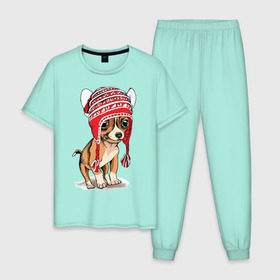 Мужская пижама хлопок с принтом Чихуахуа в шапочке в Белгороде, 100% хлопок | брюки и футболка прямого кроя, без карманов, на брюках мягкая резинка на поясе и по низу штанин
 | домашние животные | пес | песик | собака | собачка | чихуахуа