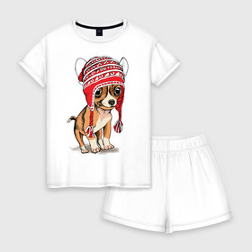 Женская пижама с шортиками хлопок с принтом Чихуахуа в шапочке в Белгороде, 100% хлопок | футболка прямого кроя, шорты свободные с широкой мягкой резинкой | домашние животные | пес | песик | собака | собачка | чихуахуа