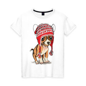 Женская футболка хлопок с принтом Чихуахуа в шапочке в Белгороде, 100% хлопок | прямой крой, круглый вырез горловины, длина до линии бедер, слегка спущенное плечо | Тематика изображения на принте: домашние животные | пес | песик | собака | собачка | чихуахуа