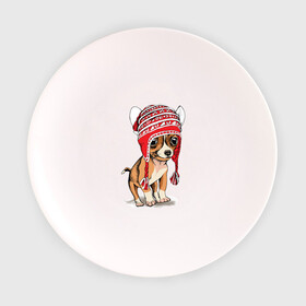 Тарелка с принтом Чихуахуа в шапочке в Белгороде, фарфор | диаметр - 210 мм
диаметр для нанесения принта - 120 мм | домашние животные | пес | песик | собака | собачка | чихуахуа