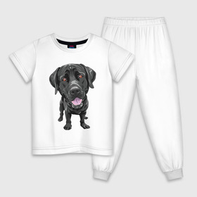 Детская пижама хлопок с принтом Черный лабрадор в Белгороде, 100% хлопок |  брюки и футболка прямого кроя, без карманов, на брюках мягкая резинка на поясе и по низу штанин
 | Тематика изображения на принте: домашние животные | лабрадоры | пес | песик | ретриверы | собака | собачка