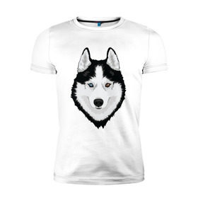 Мужская футболка премиум с принтом Хаски с разными глазами в Белгороде, 92% хлопок, 8% лайкра | приталенный силуэт, круглый вырез ворота, длина до линии бедра, короткий рукав | домашние животные | пес | собака
