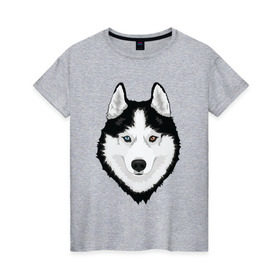Женская футболка хлопок с принтом Хаски с разными глазами в Белгороде, 100% хлопок | прямой крой, круглый вырез горловины, длина до линии бедер, слегка спущенное плечо | домашние животные | пес | собака