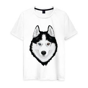Мужская футболка хлопок с принтом Хаски с разными глазами в Белгороде, 100% хлопок | прямой крой, круглый вырез горловины, длина до линии бедер, слегка спущенное плечо. | домашние животные | пес | собака