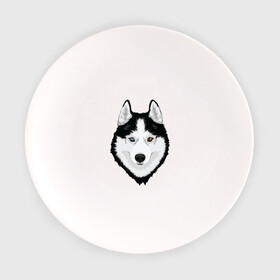 Тарелка с принтом Хаски с разными глазами в Белгороде, фарфор | диаметр - 210 мм
диаметр для нанесения принта - 120 мм | Тематика изображения на принте: домашние животные | пес | собака