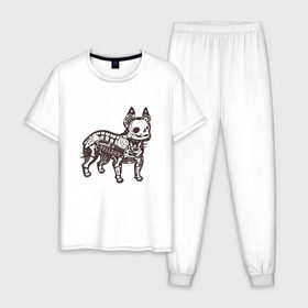 Мужская пижама хлопок с принтом Бульдог ренген в Белгороде, 100% хлопок | брюки и футболка прямого кроя, без карманов, на брюках мягкая резинка на поясе и по низу штанин
 | бульдог | домашние животные | пес | песик | собака | собачка | французский бульдог