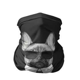 Бандана-труба 3D с принтом Бульдог в черном в Белгороде, 100% полиэстер, ткань с особыми свойствами — Activecool | плотность 150‒180 г/м2; хорошо тянется, но сохраняет форму | Тематика изображения на принте: бульдог | домашние животные | пес | песик | собака | собачка | французский бульдог