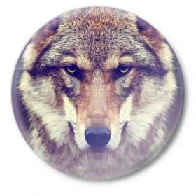 Значок с принтом Wolf в Белгороде,  металл | круглая форма, металлическая застежка в виде булавки | animal | волк | хищник