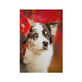 Обложка для паспорта матовая кожа с принтом Бордер колли в красных листьях в Белгороде, натуральная матовая кожа | размер 19,3 х 13,7 см; прозрачные пластиковые крепления | Тематика изображения на принте: border collie | dog | бордер колли | красный | листья | осень | собака