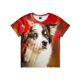 Детская футболка 3D с принтом Бордер колли в красных листьях в Белгороде, 100% гипоаллергенный полиэфир | прямой крой, круглый вырез горловины, длина до линии бедер, чуть спущенное плечо, ткань немного тянется | border collie | dog | бордер колли | красный | листья | осень | собака
