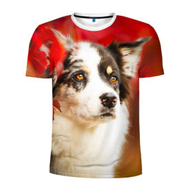 Мужская футболка 3D спортивная с принтом Бордер колли в красных листьях в Белгороде, 100% полиэстер с улучшенными характеристиками | приталенный силуэт, круглая горловина, широкие плечи, сужается к линии бедра | border collie | dog | бордер колли | красный | листья | осень | собака
