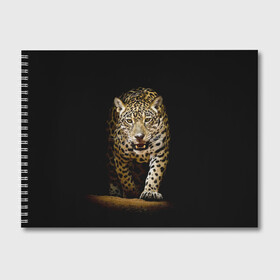 Альбом для рисования с принтом Leopard в Белгороде, 100% бумага
 | матовая бумага, плотность 200 мг. | дикая кошка | зверь | клыки | кот | леопард | оскал | пантера | природа | хищник | ягуар
