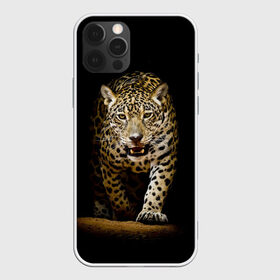 Чехол для iPhone 12 Pro Max с принтом Leopard в Белгороде, Силикон |  | Тематика изображения на принте: дикая кошка | зверь | клыки | кот | леопард | оскал | пантера | природа | хищник | ягуар