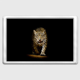 Магнит 45*70 с принтом Leopard в Белгороде, Пластик | Размер: 78*52 мм; Размер печати: 70*45 | Тематика изображения на принте: дикая кошка | зверь | клыки | кот | леопард | оскал | пантера | природа | хищник | ягуар