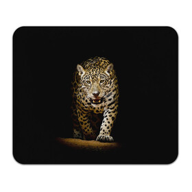 Коврик для мышки прямоугольный с принтом Leopard в Белгороде, натуральный каучук | размер 230 х 185 мм; запечатка лицевой стороны | дикая кошка | зверь | клыки | кот | леопард | оскал | пантера | природа | хищник | ягуар
