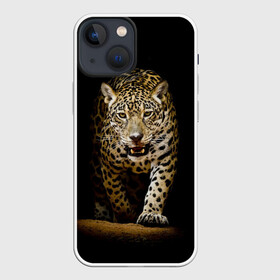 Чехол для iPhone 13 mini с принтом Leopard в Белгороде,  |  | дикая кошка | зверь | клыки | кот | леопард | оскал | пантера | природа | хищник | ягуар