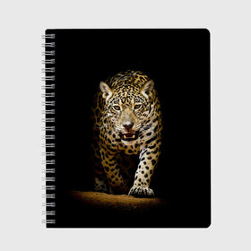Тетрадь с принтом Leopard в Белгороде, 100% бумага | 48 листов, плотность листов — 60 г/м2, плотность картонной обложки — 250 г/м2. Листы скреплены сбоку удобной пружинной спиралью. Уголки страниц и обложки скругленные. Цвет линий — светло-серый
 | дикая кошка | зверь | клыки | кот | леопард | оскал | пантера | природа | хищник | ягуар