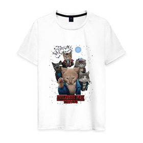Мужская футболка хлопок с принтом Stranger Things в Белгороде, 100% хлопок | прямой крой, круглый вырез горловины, длина до линии бедер, слегка спущенное плечо. | кот | коты | очень странные дела