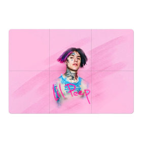Магнитный плакат 3Х2 с принтом Lil Pink в Белгороде, Полимерный материал с магнитным слоем | 6 деталей размером 9*9 см | Тематика изображения на принте: lil peep | rap | густав ор | лил пип | рэп