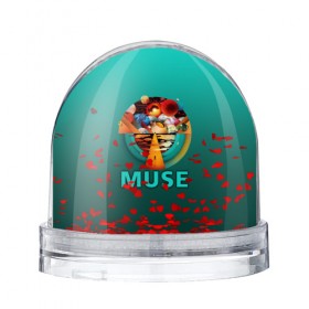Водяной шар с принтом Muse в Белгороде, Пластик | Изображение внутри шара печатается на глянцевой фотобумаге с двух сторон | 
