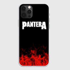 Чехол для iPhone 12 Pro Max с принтом Pantera в Белгороде, Силикон |  | Тематика изображения на принте: band | metal | music | pantera | rock | атрибутика | группа | метал | музыка | рок