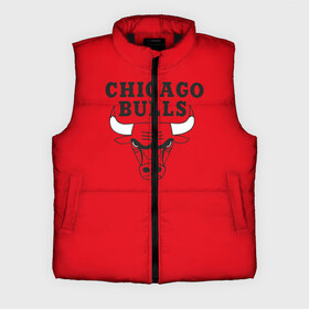 Мужской жилет утепленный 3D с принтом Chicago Bulls в Белгороде,  |  | bulls | chicago | chicago bulls | nba | баскетбол | буллз | нба | чикаго буллз