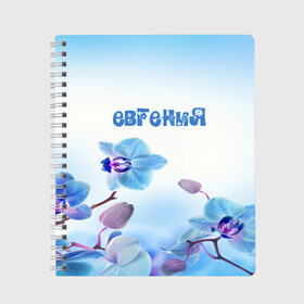 Тетрадь с принтом Евгения в Белгороде, 100% бумага | 48 листов, плотность листов — 60 г/м2, плотность картонной обложки — 250 г/м2. Листы скреплены сбоку удобной пружинной спиралью. Уголки страниц и обложки скругленные. Цвет линий — светло-серый
 | flower | name | spring | букет | весна | евгения | имена | имя | природа | узор | цветочный | цветы