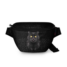 Поясная сумка 3D с принтом Чёрный котик в Белгороде, 100% полиэстер | плотная ткань, ремень с регулируемой длиной, внутри несколько карманов для мелочей, основное отделение и карман с обратной стороны сумки застегиваются на молнию | кошка | чёрная