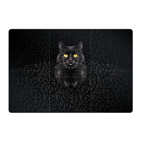 Магнитный плакат 3Х2 с принтом Чёрный котик в Белгороде, Полимерный материал с магнитным слоем | 6 деталей размером 9*9 см | Тематика изображения на принте: кошка | чёрная