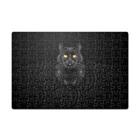 Пазл магнитный 126 элементов с принтом Чёрный котик в Белгороде, полимерный материал с магнитным слоем | 126 деталей, размер изделия —  180*270 мм | кошка | чёрная
