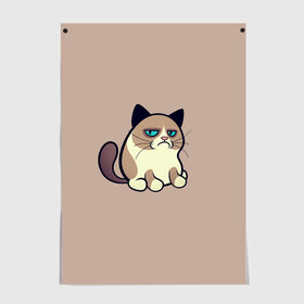 Постер с принтом Недовольный кот в Белгороде, 100% бумага
 | бумага, плотность 150 мг. Матовая, но за счет высокого коэффициента гладкости имеет небольшой блеск и дает на свету блики, но в отличии от глянцевой бумаги не покрыта лаком | cat | кот | кошка