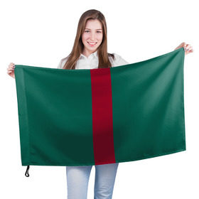 Флаг 3D с принтом Зеленый/бордовый в Белгороде, 100% полиэстер | плотность ткани — 95 г/м2, размер — 67 х 109 см. Принт наносится с одной стороны | gucci | гучи | гуччи | полосы