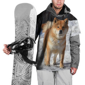 Накидка на куртку 3D с принтом Акита-ину в Белгороде, 100% полиэстер |  | акита | животное | животные | ину | овчарка | пес | песик | псы | сиба | собака | собаки | шиба