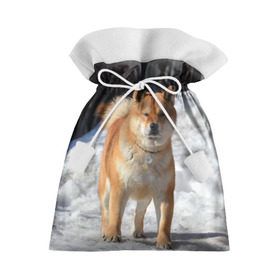 Подарочный 3D мешок с принтом Акита-ину в Белгороде, 100% полиэстер | Размер: 29*39 см | Тематика изображения на принте: акита | животное | животные | ину | овчарка | пес | песик | псы | сиба | собака | собаки | шиба