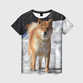 Женская футболка 3D с принтом Акита-ину в Белгороде, 100% полиэфир ( синтетическое хлопкоподобное полотно) | прямой крой, круглый вырез горловины, длина до линии бедер | акита | животное | животные | ину | овчарка | пес | песик | псы | сиба | собака | собаки | шиба